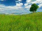 Grassland 3D: View larger screenshot