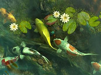 Koi Pond - Garden 3D Écran de Veille