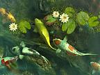 Koi Pond - Garden 3D: View larger screenshot