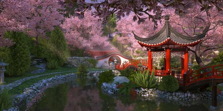 Sakura Garden 3D