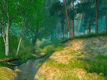 Summer Forest 3D Image plus grande