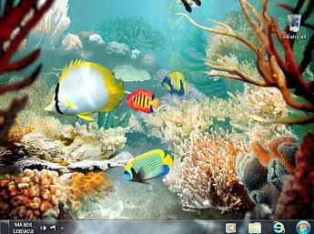 Tropical Fish 3D Screensaver