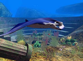 Unterwasser Welt 3D größeres Bild