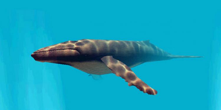 Underwater World 3D