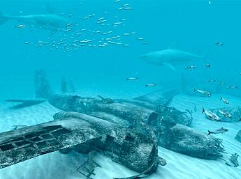 White Sharks 3D larger image