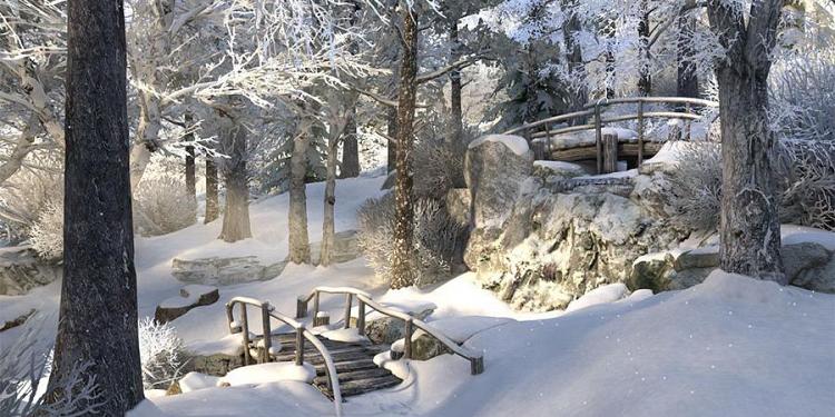 live screensavers for mac live screensavers for mac